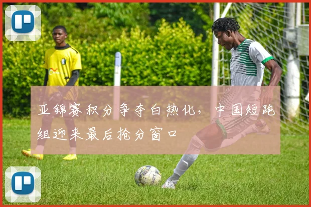 亚锦赛积分争夺白热化，中国短跑组迎来最后抢分窗口 - 搜狐体育推荐