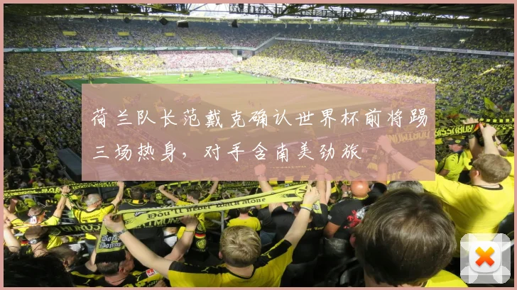 荷兰队长范戴克确认世界杯前将踢三场热身，对手含南美劲旅 - 搜狐体育推荐