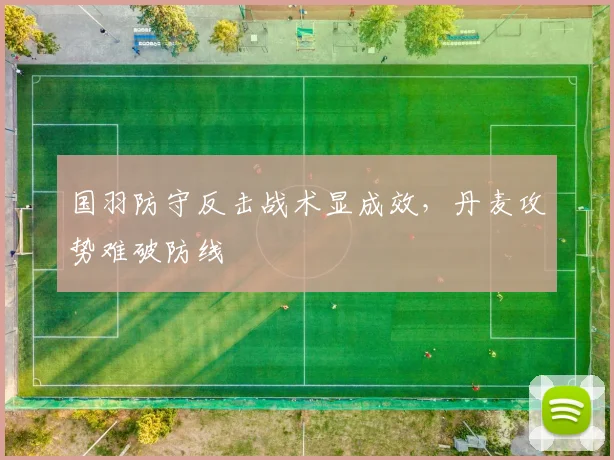 国羽防守反击战术显成效，丹麦攻势难破防线 - 搜狐体育推荐