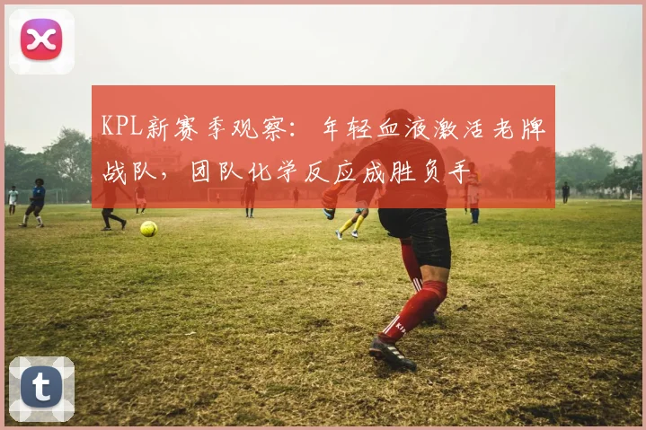 KPL新赛季观察：年轻血液激活老牌战队，团队化学反应成胜负手 - 搜狐体育图集