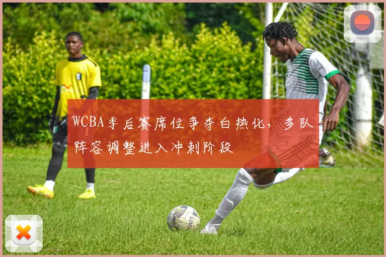 WCBA季后赛席位争夺白热化,多队阵容调整进入冲刺阶段 - 搜狐体育推荐