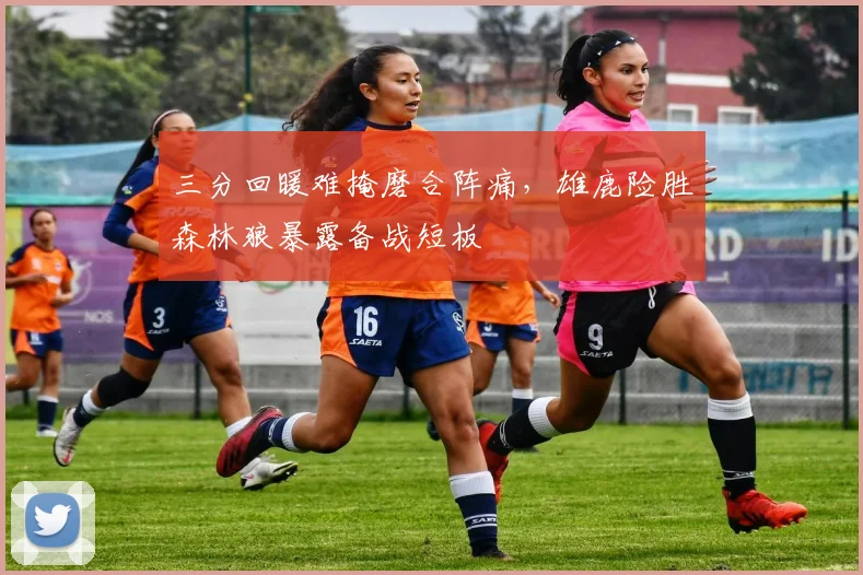 三分回暖难掩磨合阵痛，雄鹿险胜森林狼暴露备战短板 - 搜狐体育推荐