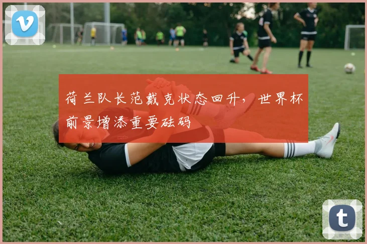 荷兰队长范戴克状态回升，世界杯前景增添重要砝码 - 搜狐体育推荐